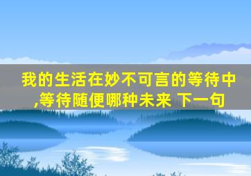 我的生活在妙不可言的等待中,等待随便哪种未来 下一句